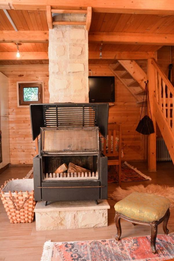 Guesthouse MG Žabljak Extérieur photo