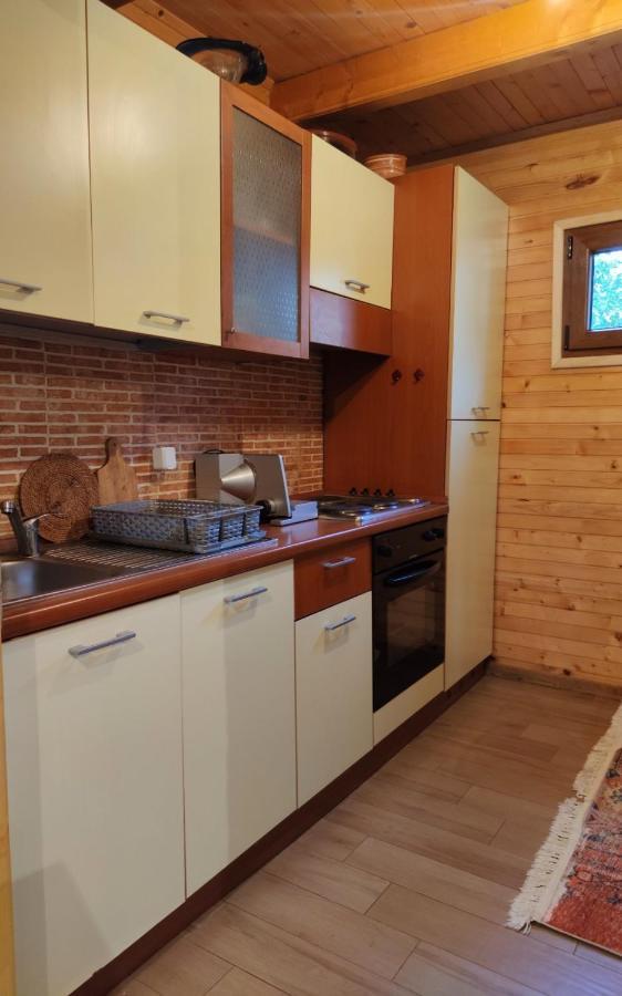 Guesthouse MG Žabljak Extérieur photo